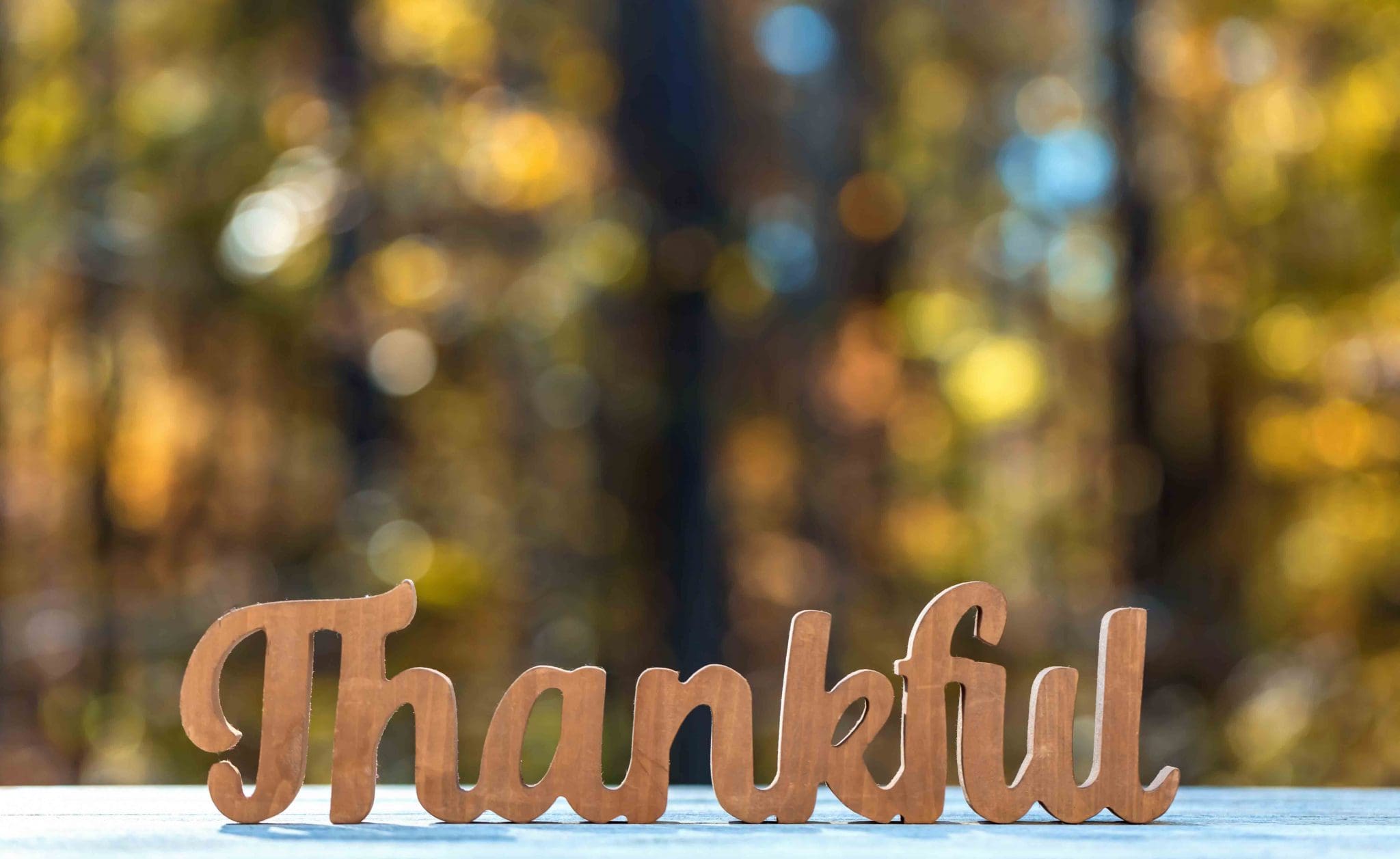 7 Things To Be Thankful For As A Small Landscape Business Owner