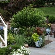 lawn and landscape trends

