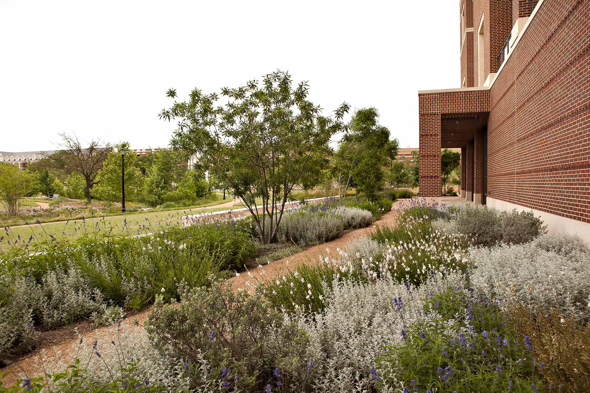 Level Up: Southern Botanical’s Commitment to Quality Drives Company ...