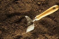 Soil