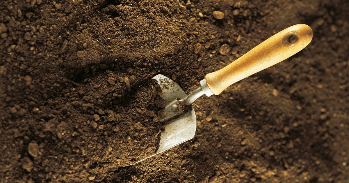 Soil