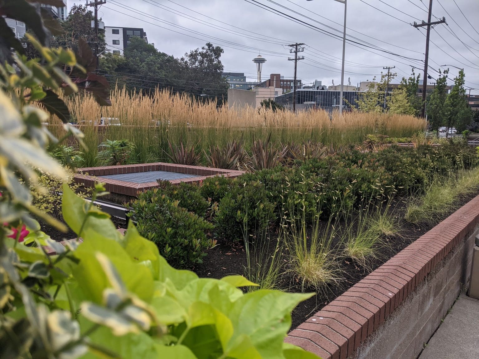 Level Up: Brookstone Landscape & Design Thrives on Word of Mouth - The ...