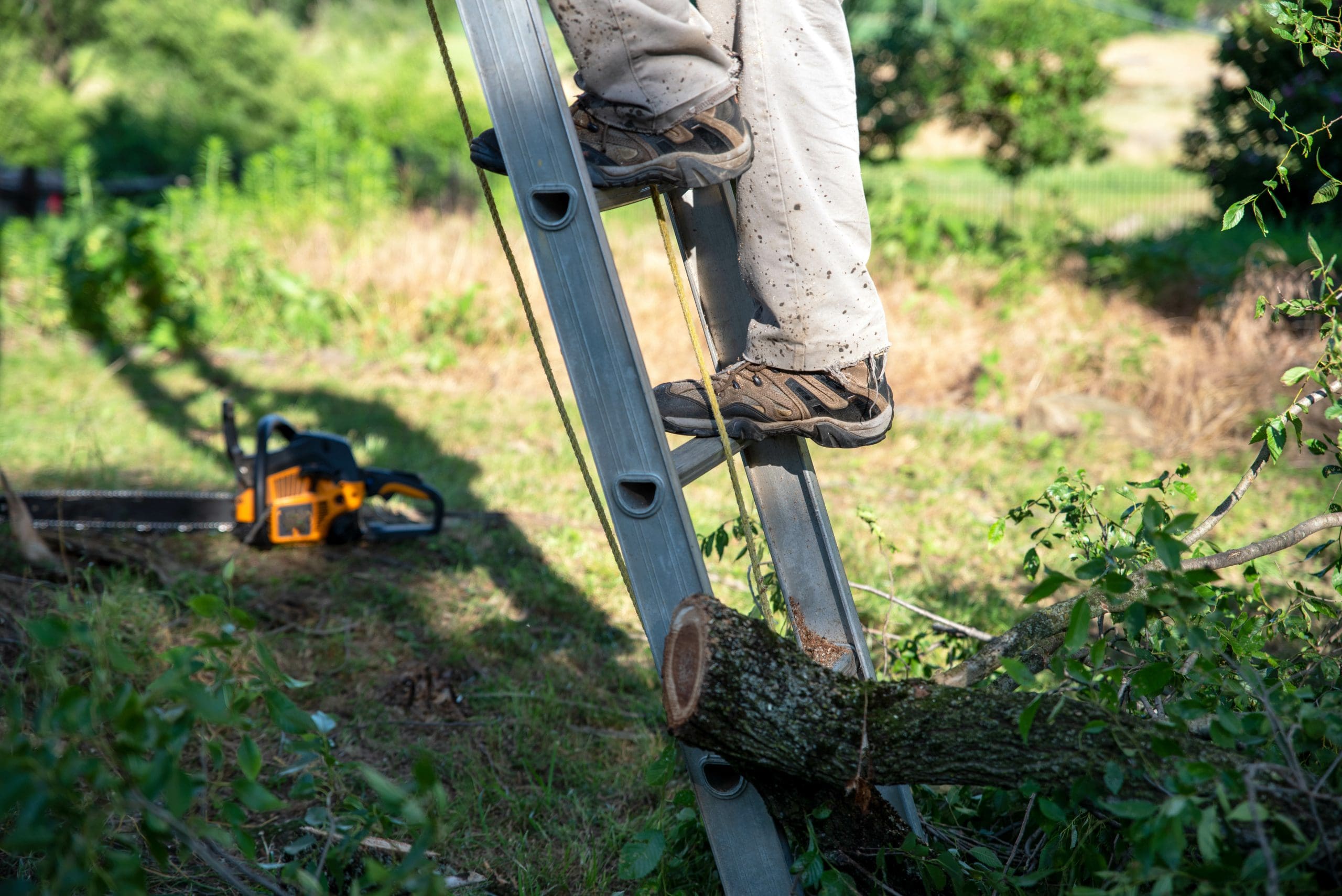 Safety Culture: Step Up Your Ladder Safety - The Edge from the National  Association of Landscape Professionals
