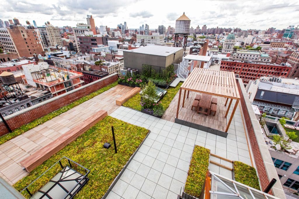 Build Rooftop Tech Four Essential Considerations for Creating a Rooftop Garden - The Edge ...