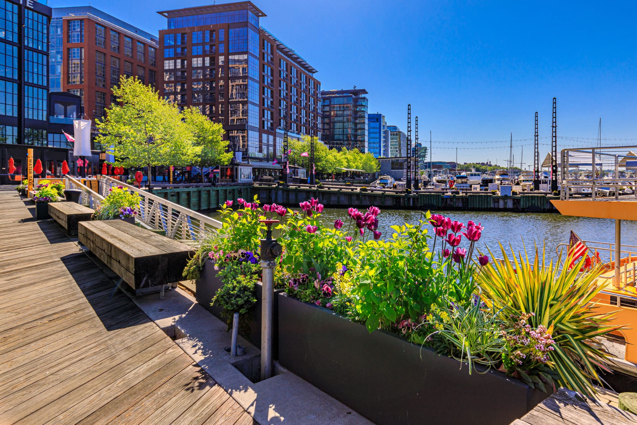 Landscapes of the Month: Caring for a Waterfront Destination - The Edge ...