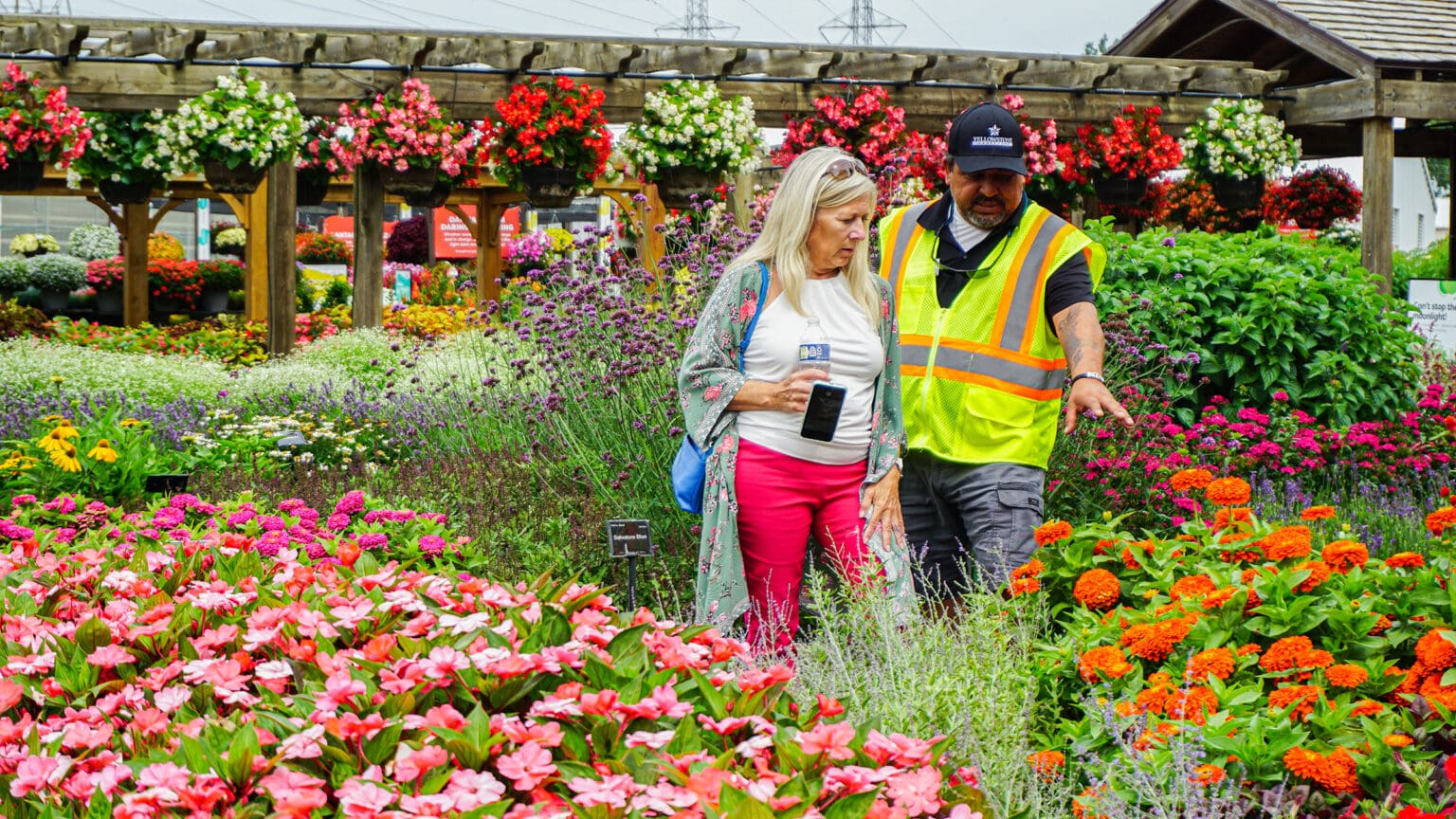 Partners in Success: Collaboration Drives Growth - The Edge from the ...