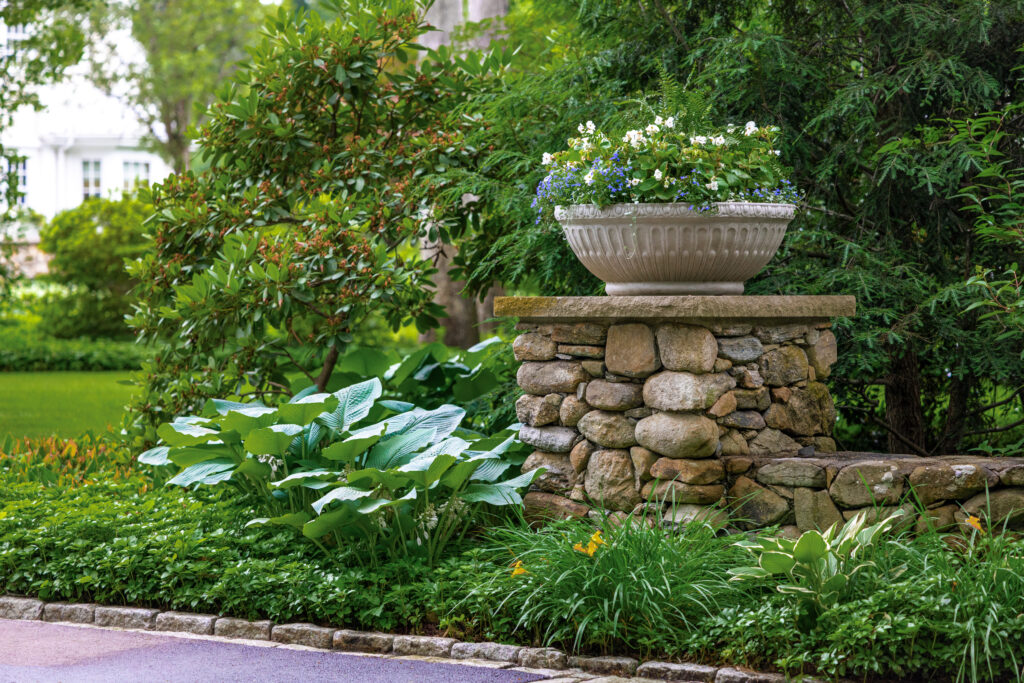 Two Decades of Dedication: Systems and Stewardship Behind Lasting ...